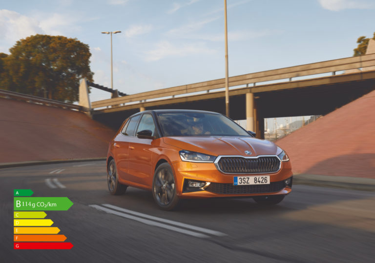 Visu SKODA Fabia OK